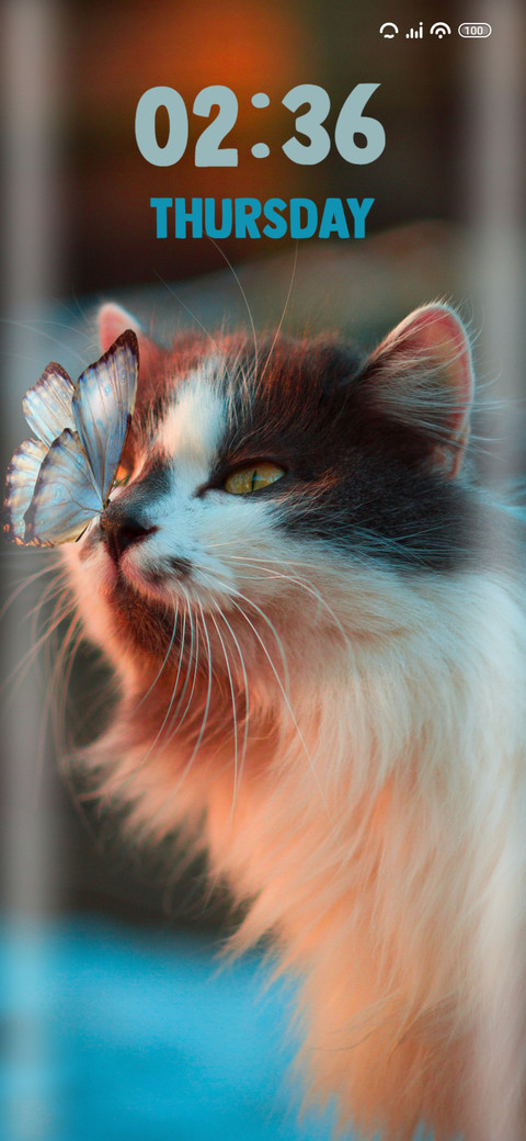 Cat preview