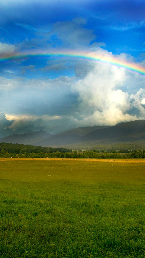 Rainbow Valley preview