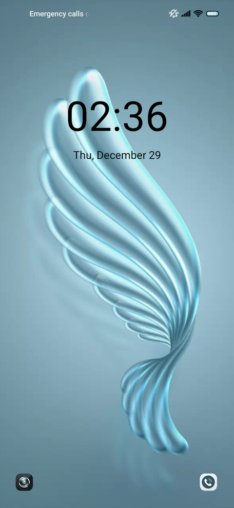 Bright wings preview
