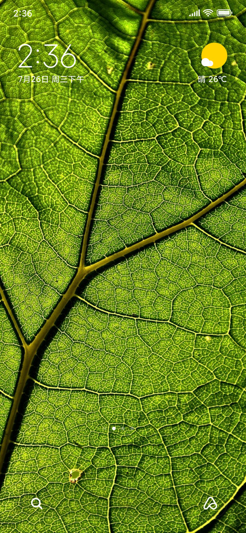 nature greeny preview
