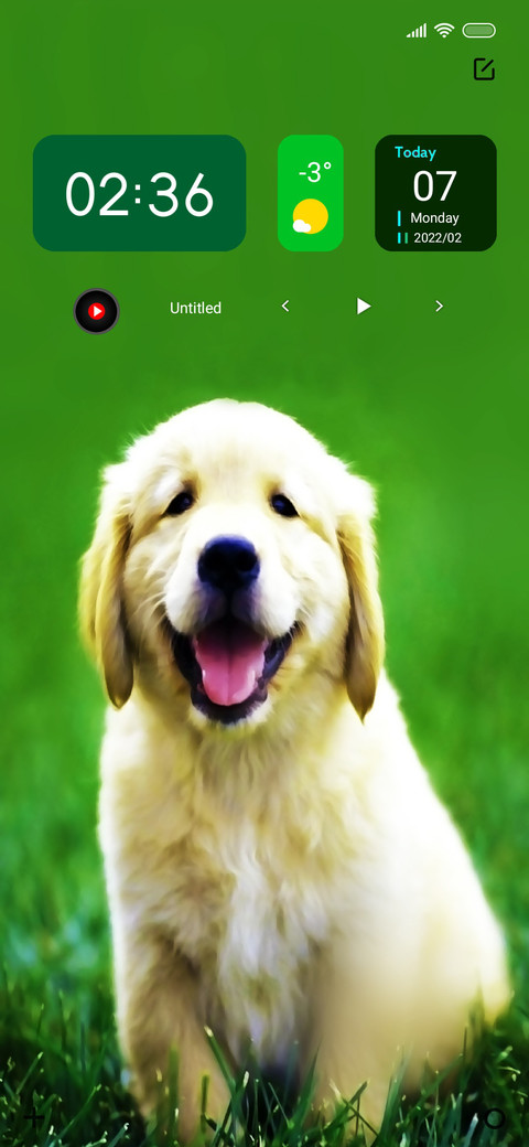 Puppy To preview