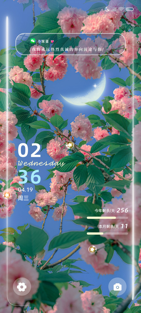花与月 浪漫多模式 preview