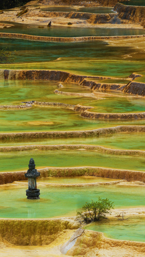 A secret tour of the colorful forest in jiuzhai preview