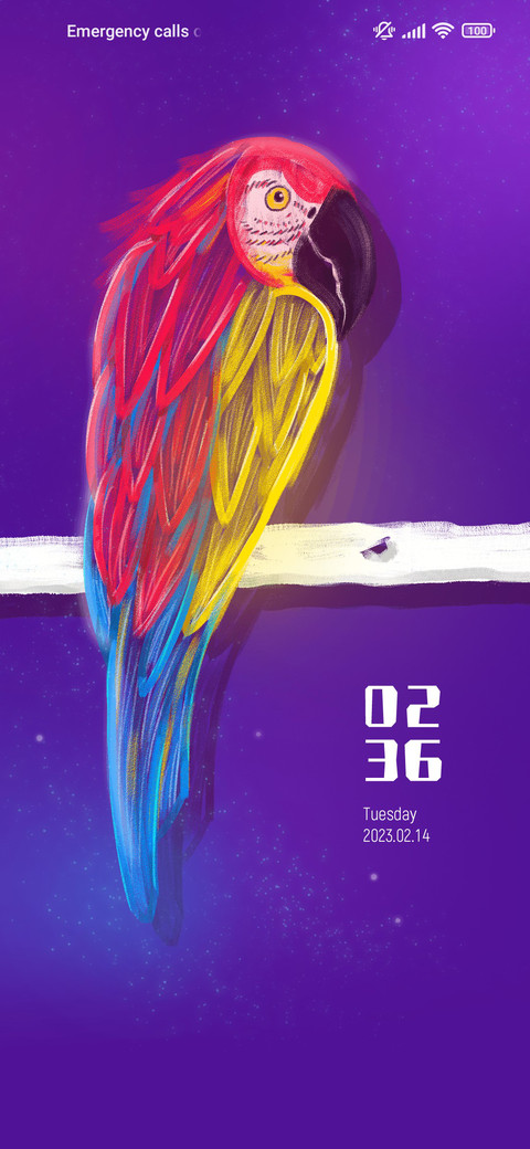 Colorful macaw preview