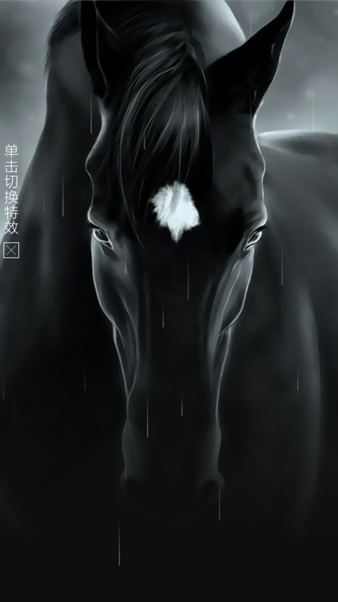 黑马 preview