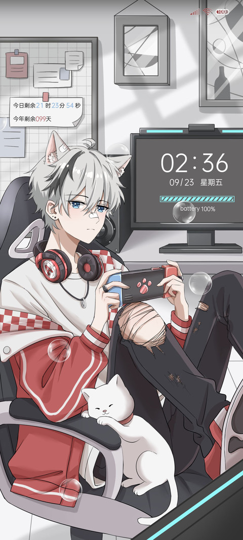 电玩猫系少年 preview