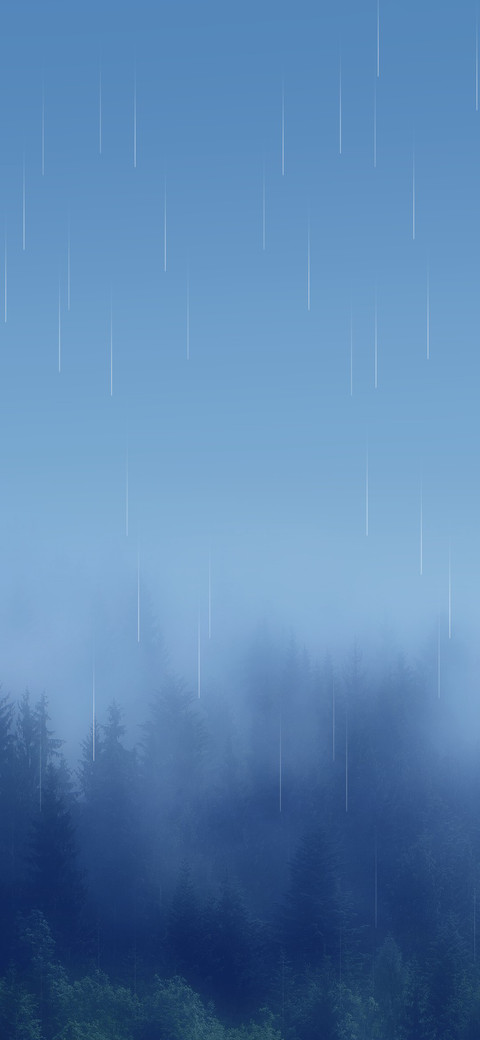 雨水森林 preview