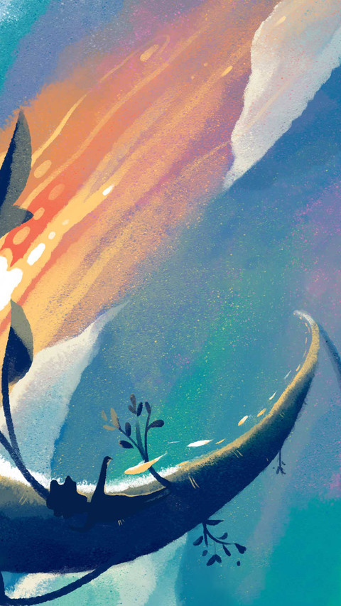 毛毛的世界 preview