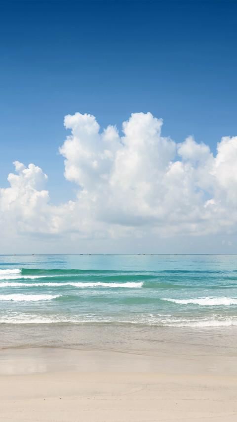 Summer by the Seaside preview