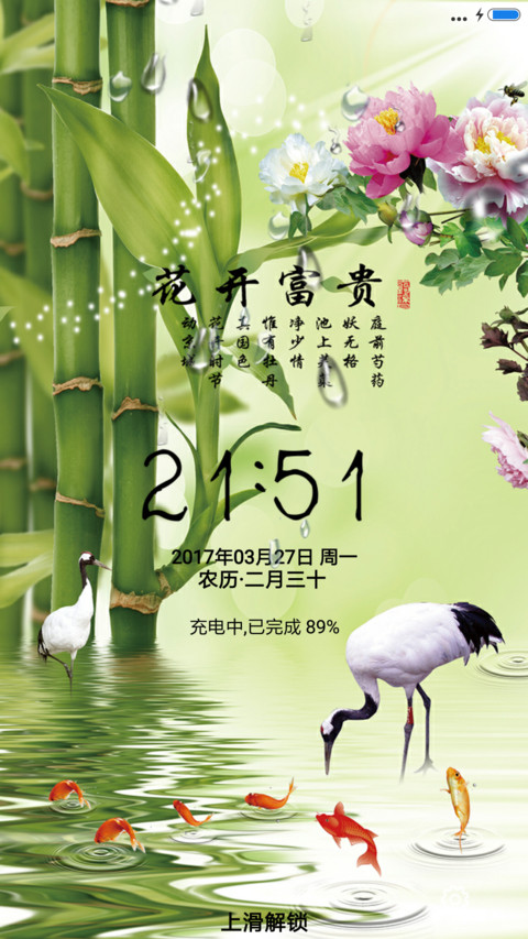 花开富贵 preview