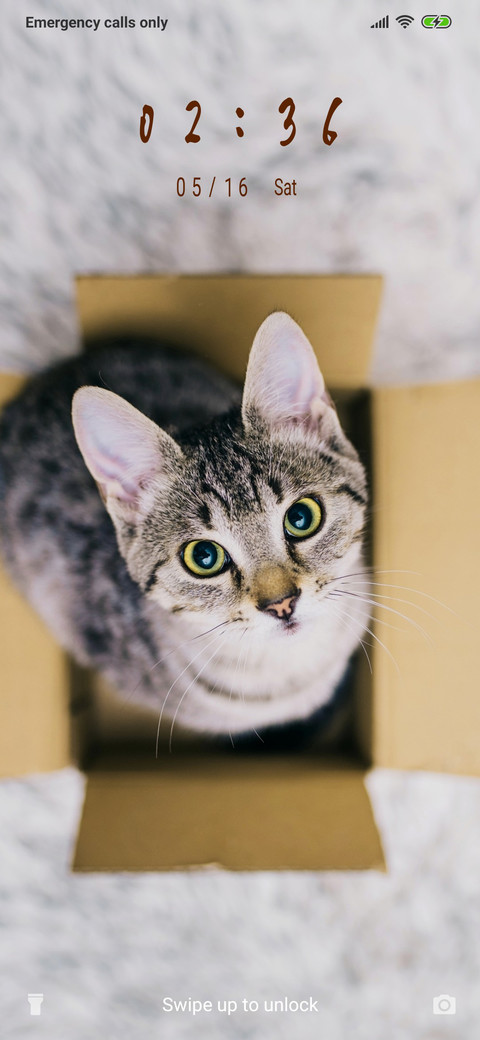 Cat in the box_3MDS preview