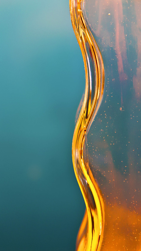 Macro photography skills 42 preview