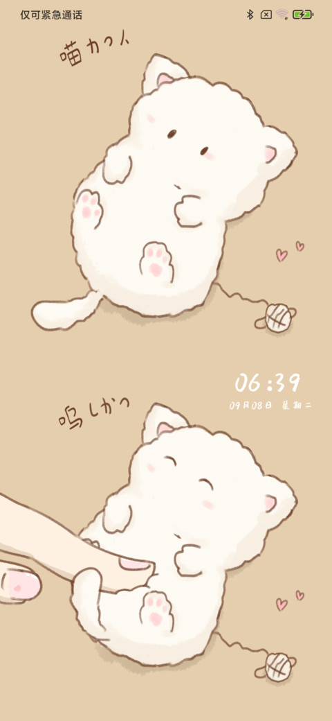 可爱猫咪 preview