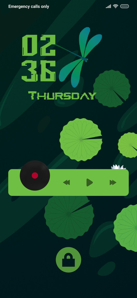 DesignedFly preview