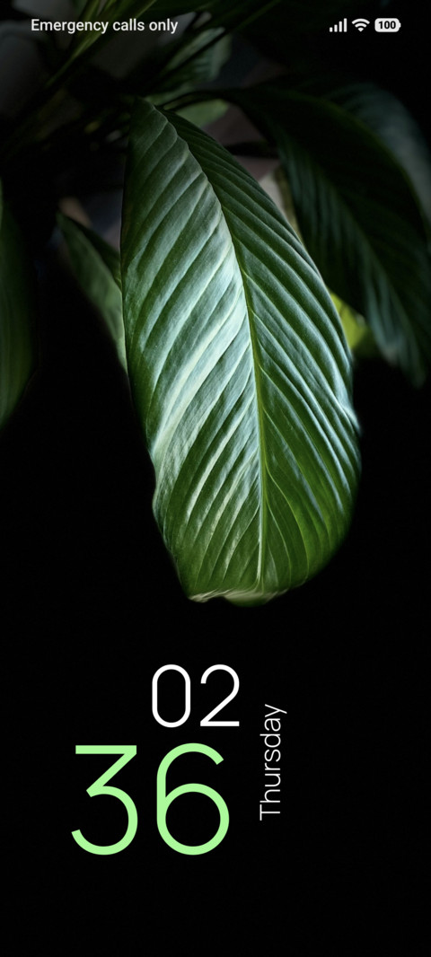 Forest Contrast preview