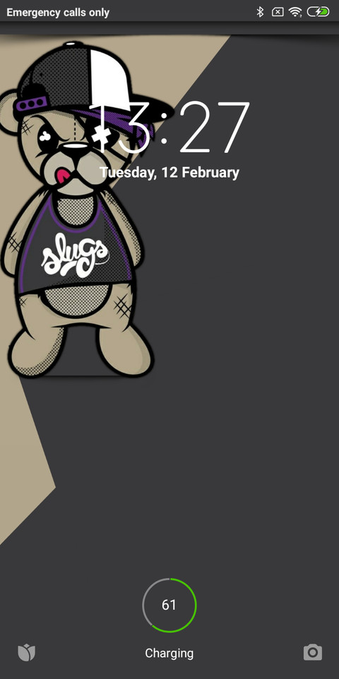 Bear preview