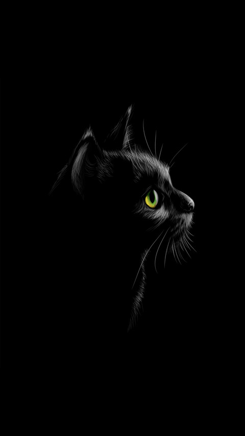 黑猫先生-拍信图库 preview