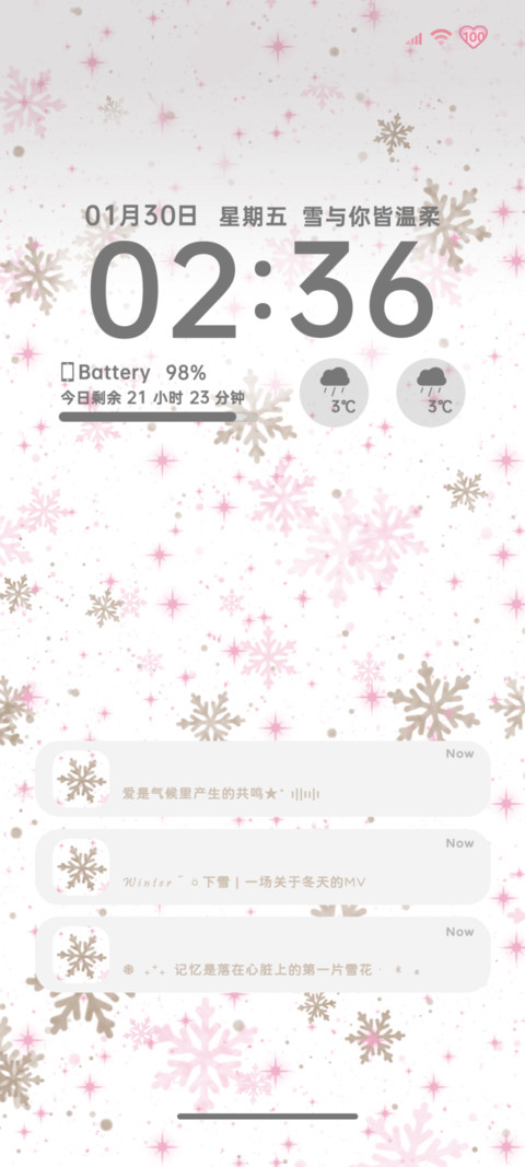 INS 冬日雪花 preview