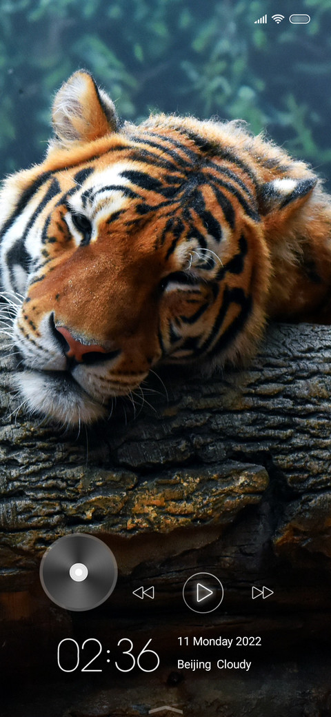 Wildlife fourteen preview