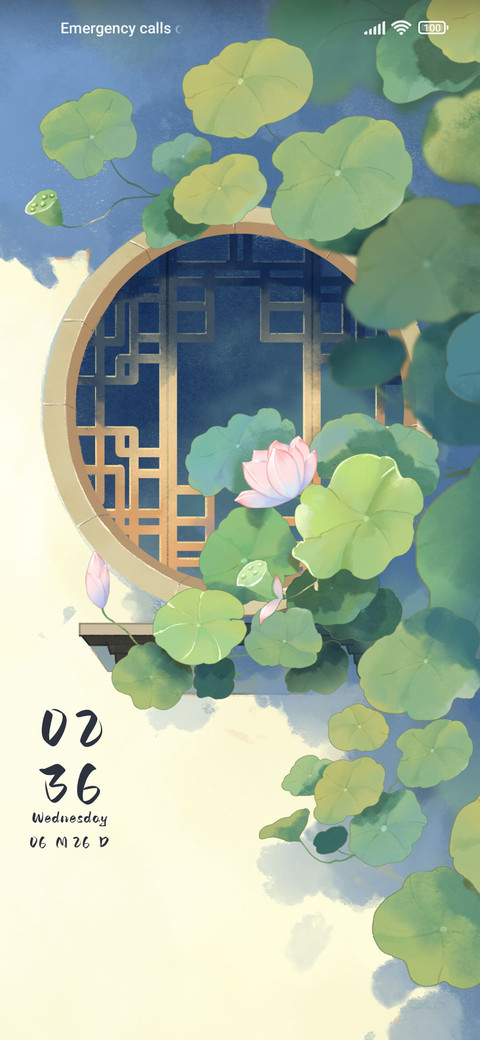 Window lotus preview