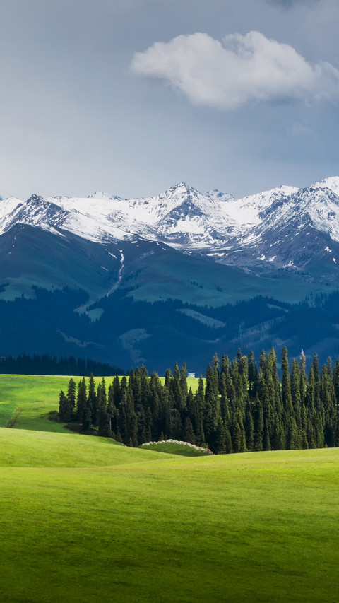 Spring Scenery of Kalajun Grassland in Yili, Xinjiang preview