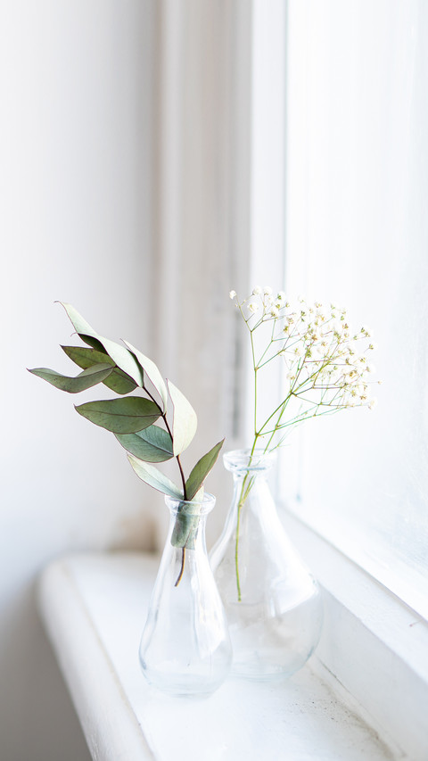 Two vases with dry branches on white windowsill preview