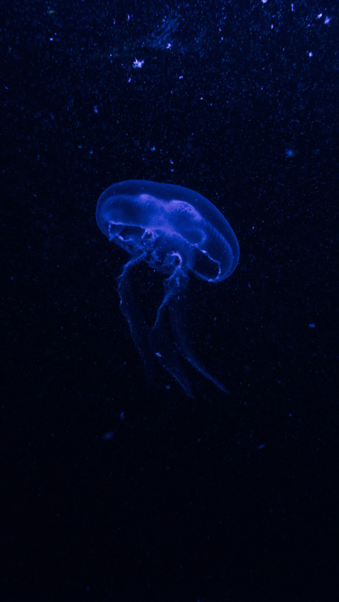 133988_1440x2560.jpg preview