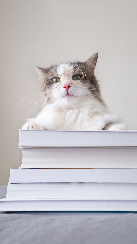 Characteristics of severe cat loving patients preview