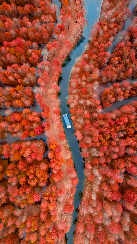 Autumn water forest is now available 2 preview