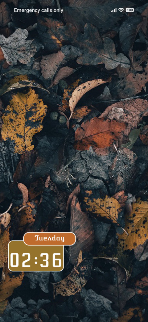 Autumn preview