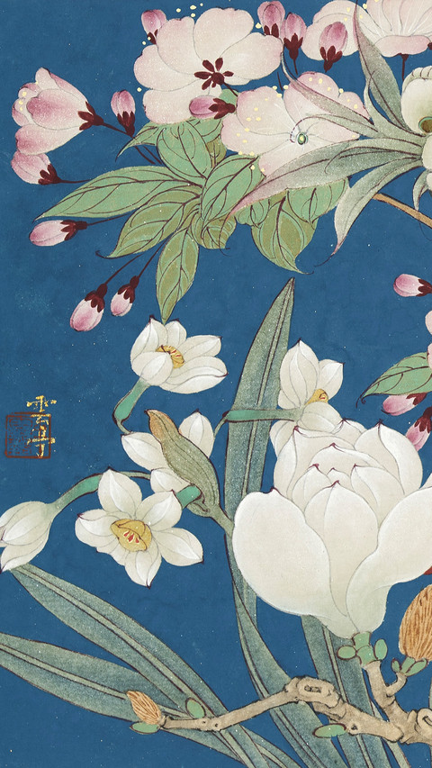 春卉骈芳 preview
