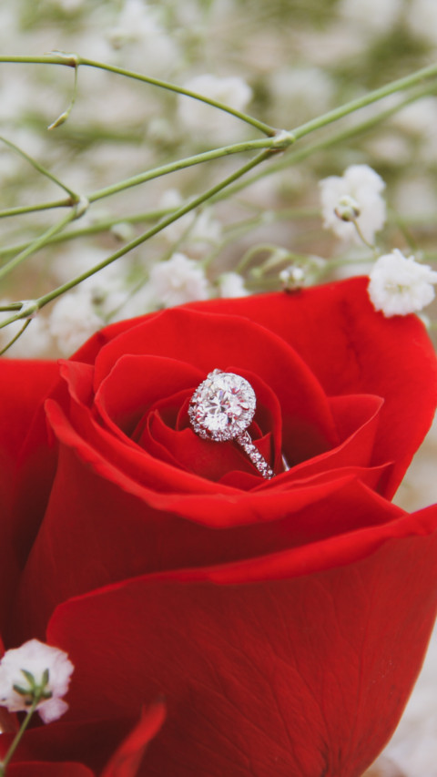 Propose Day (6) preview
