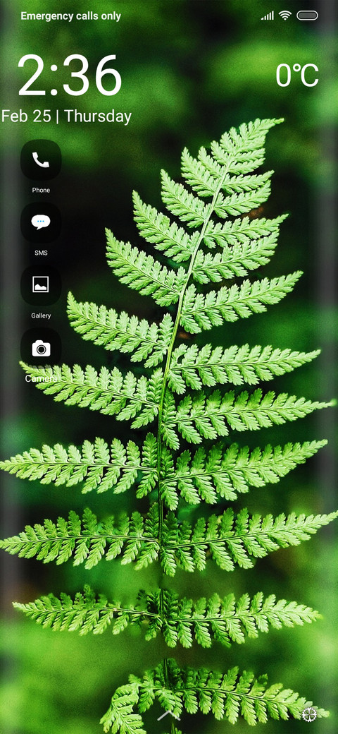 Plants tri preview