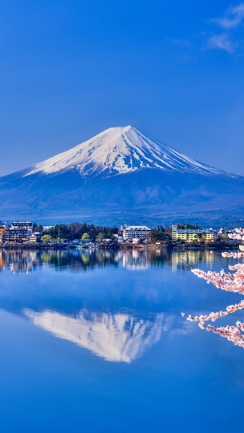 Lake Kawaguchiko with Mt. Fuji and blooming cherry blossoms preview