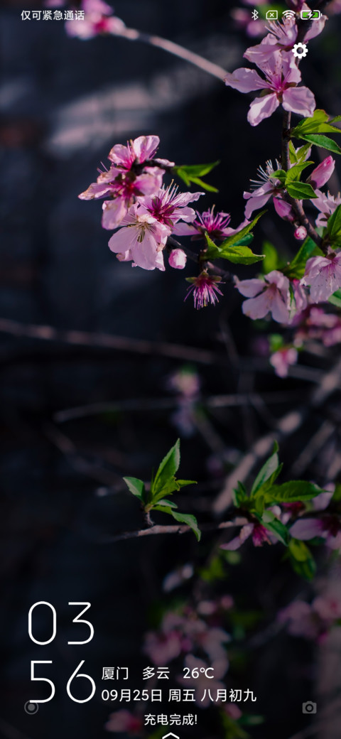 春花 preview