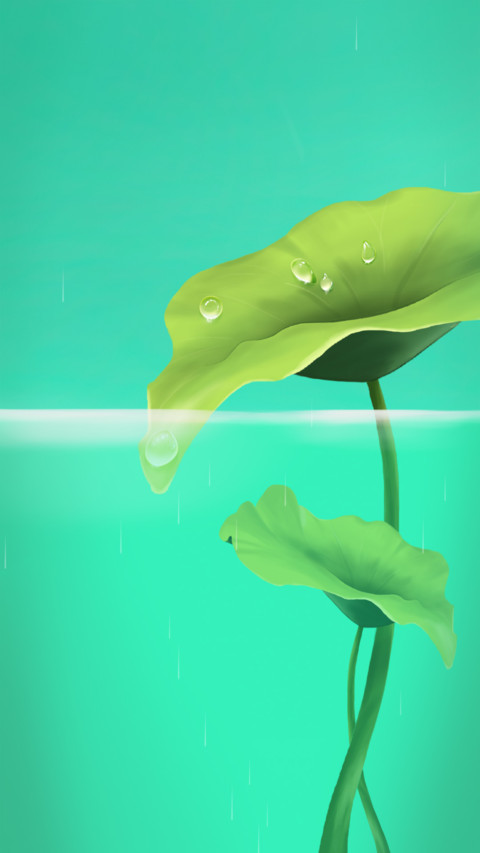 锦鲤荷塘 preview