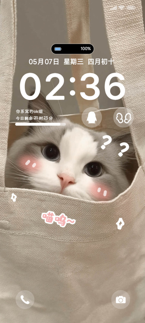 懵懂小喵 preview