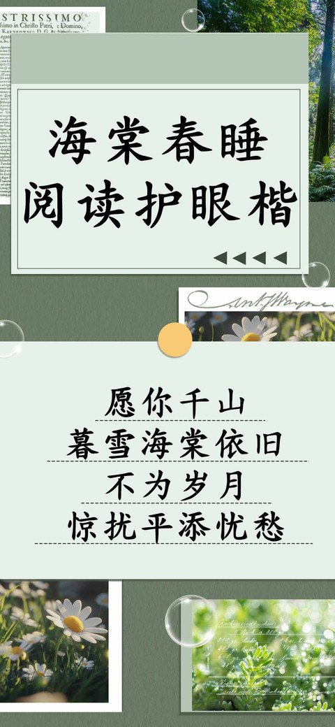 海棠春睡阅读护眼楷 preview