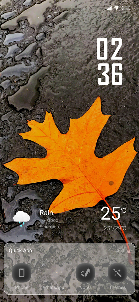 Rain Leafs preview