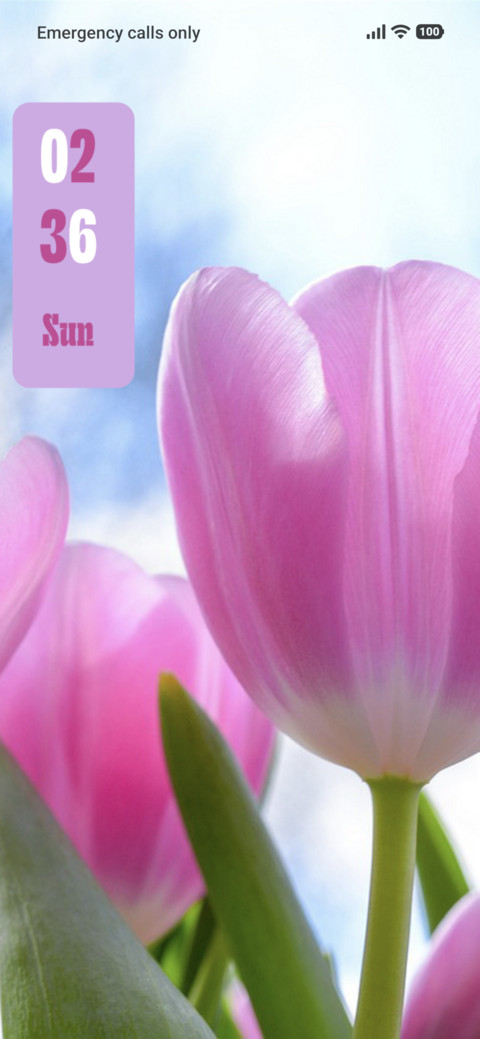 Pink Flowers preview