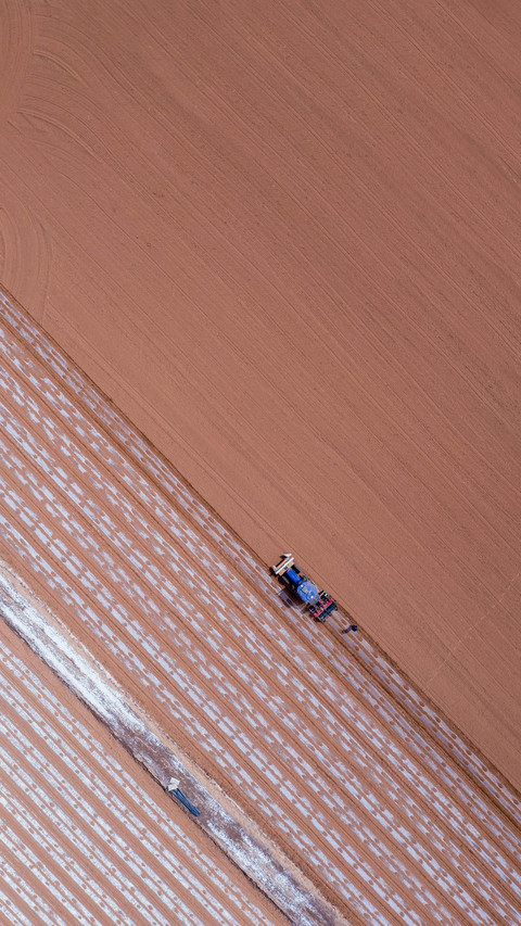 The most healing thing of spring is hidden in the soil preview
