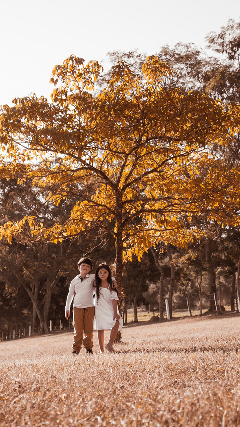 2 preview