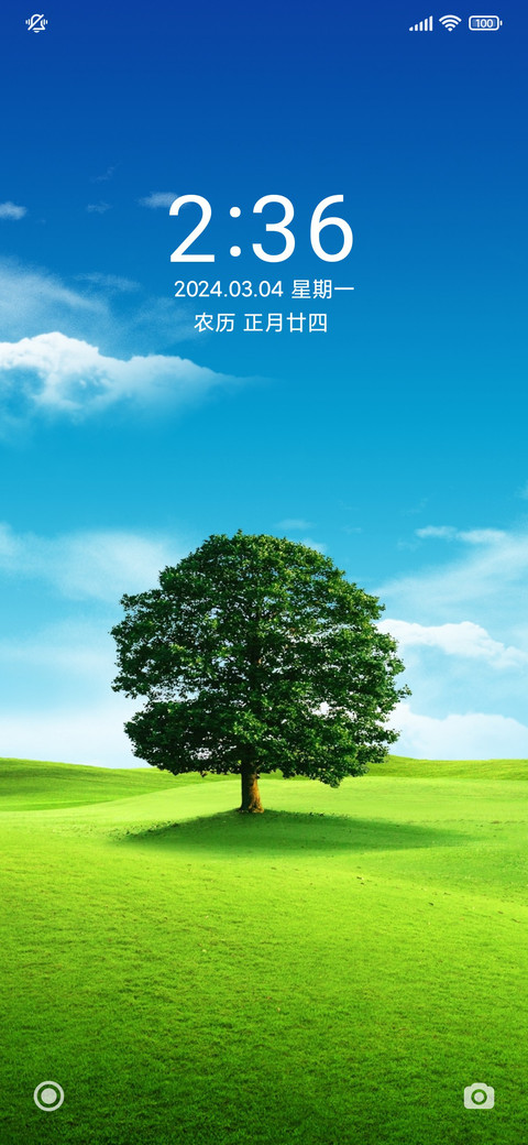 野外一棵树 preview