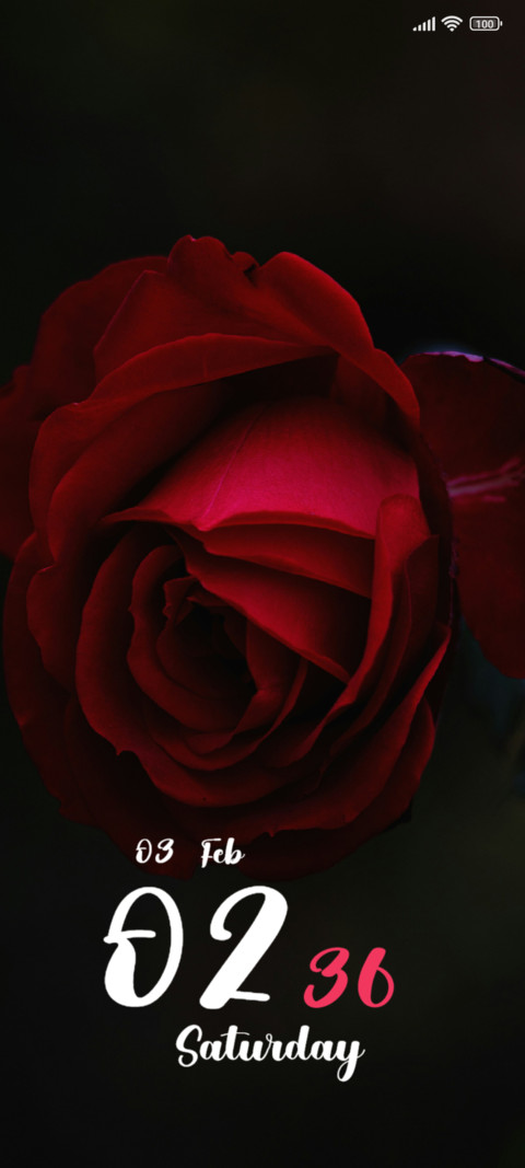 Red Flower preview