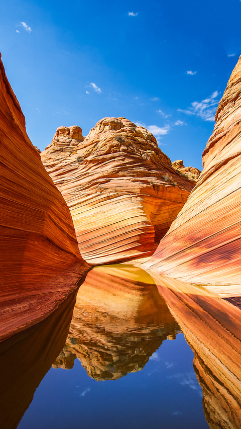 The most bizarre tourist attraction preview