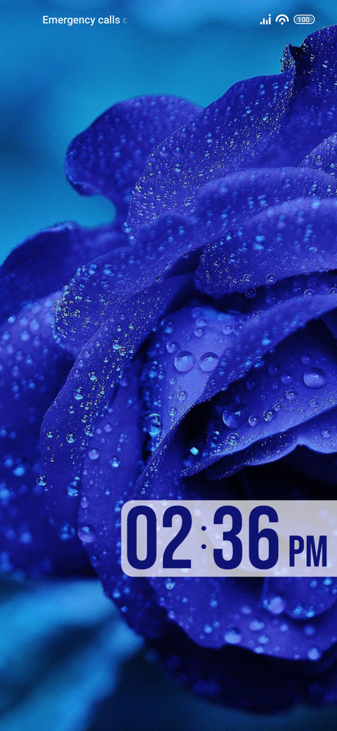 Dewdrops preview