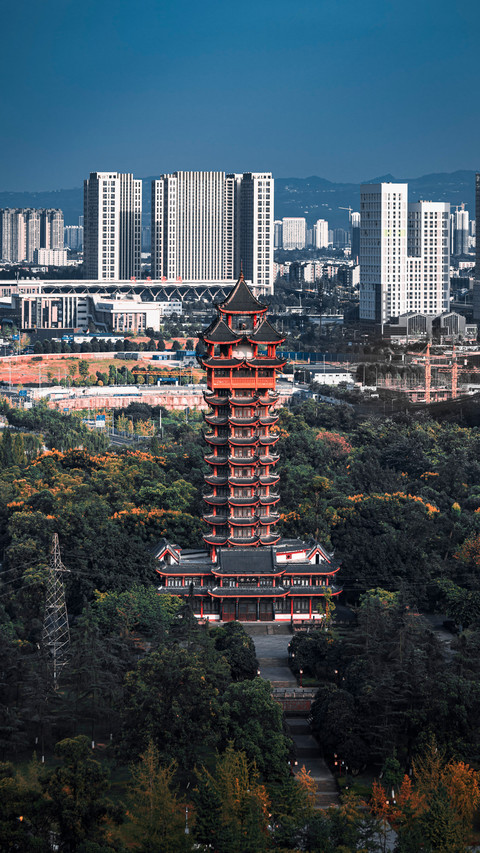 Nine Days to Chengdu 6 preview