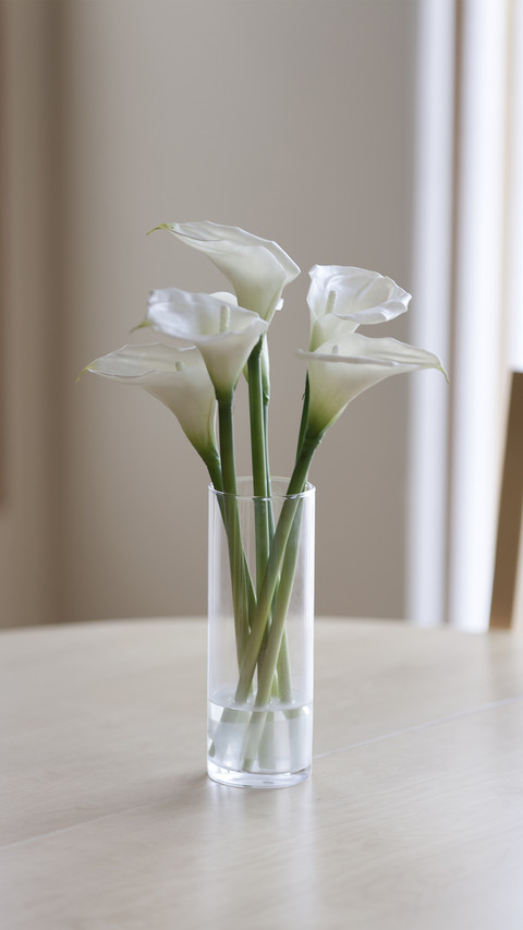 Bright and colorful calla lily 52 preview