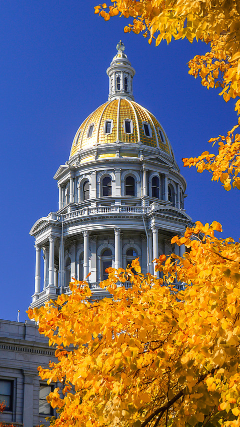 Colorado state capitol dome with autumn leaves preview