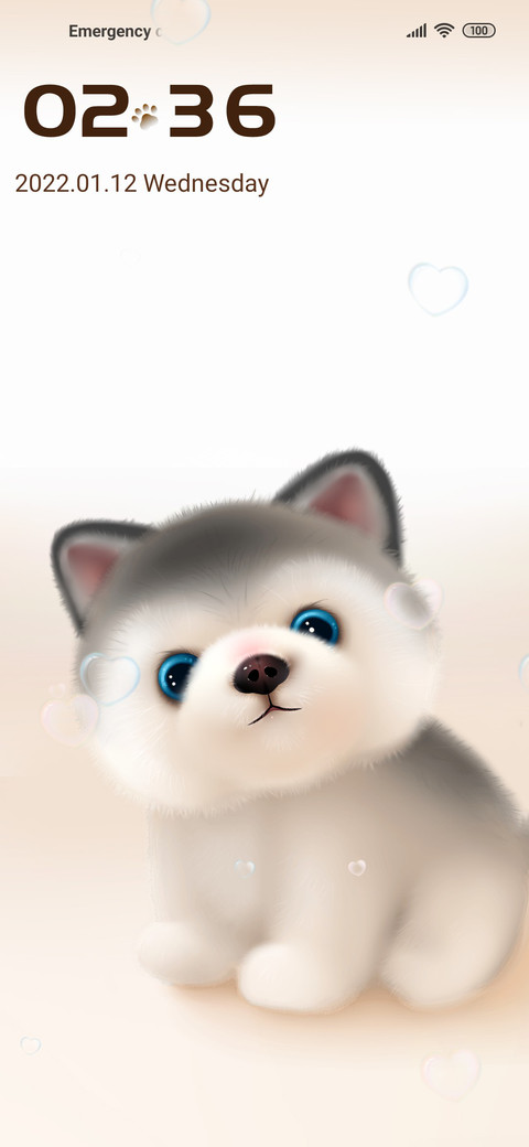 Cute husky preview